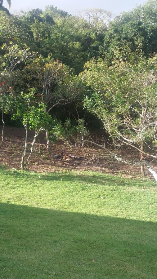 Refúgio na Serra Bananeiras Esterno foto